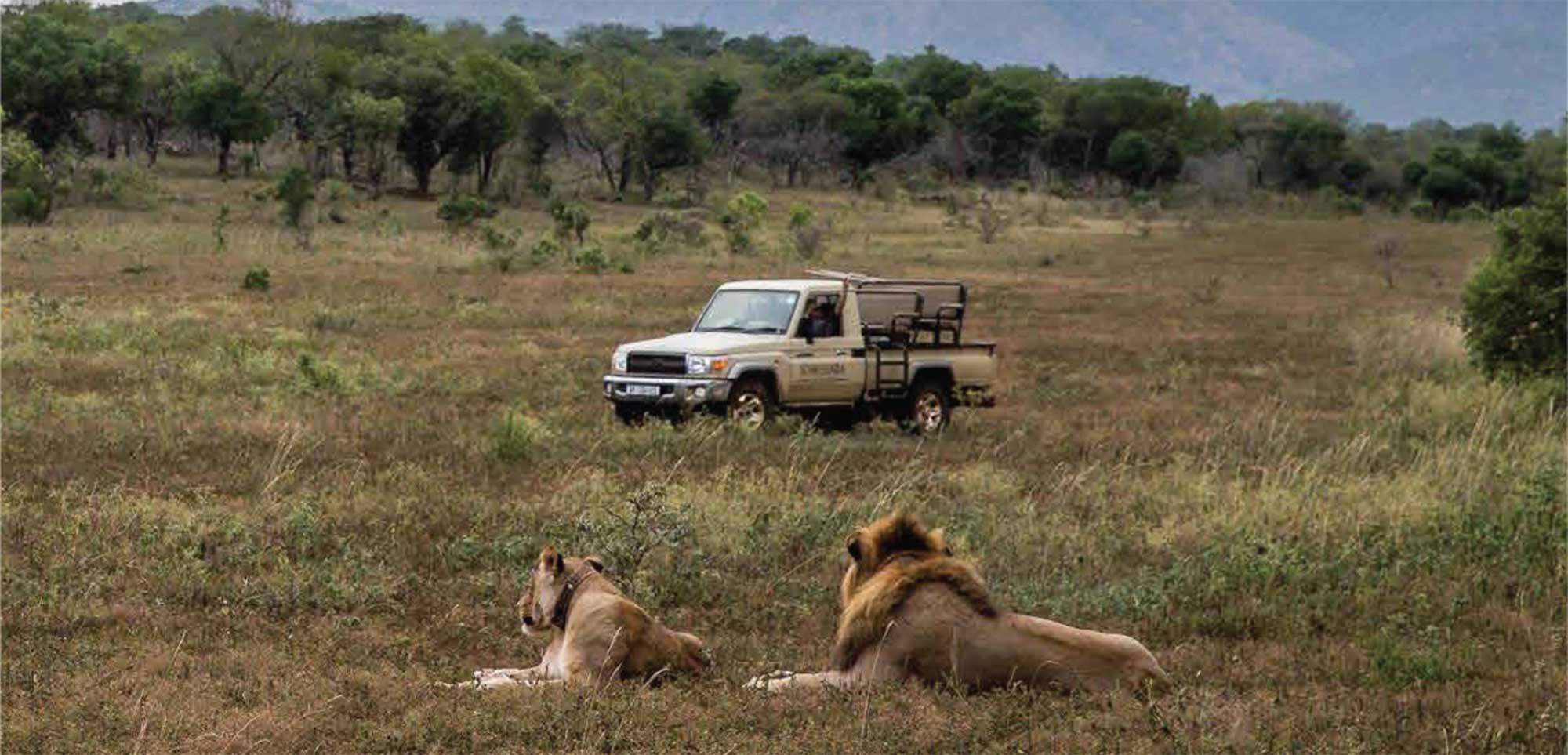Somkhanda Community Game Reserve
