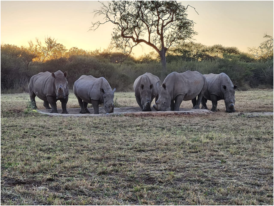 BIODIVERSITY CONSERVATION INVESTMENT OPPORTUNITY 