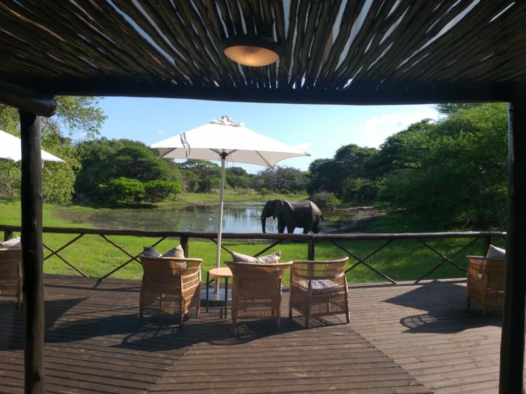 Makhasa Private Game Lodge